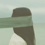 Untitled5