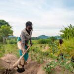 Woman-farmer-20-03-22