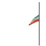 PDP-Flag-at-half-mast