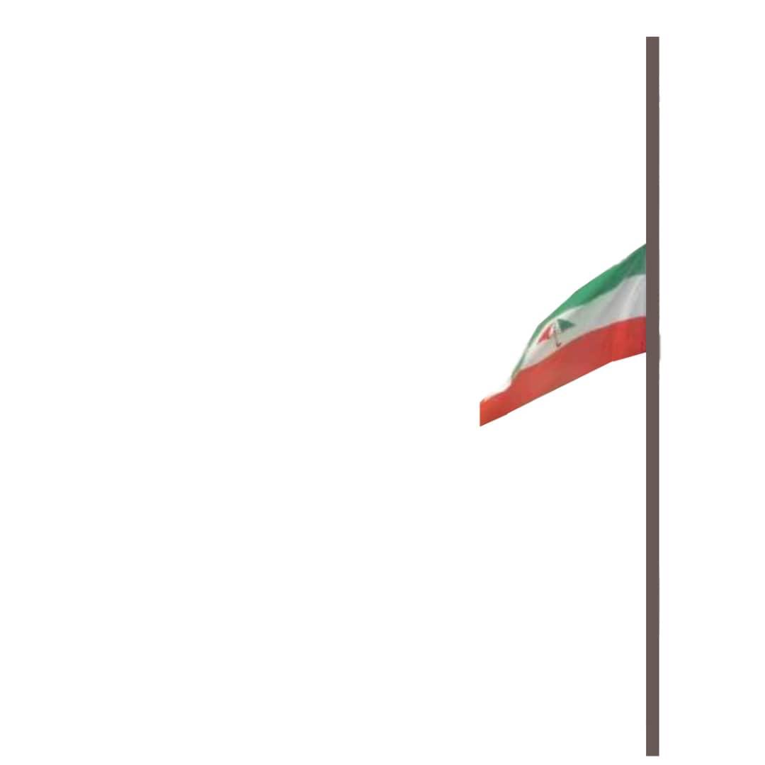 PDP-Flag-at-half-mast