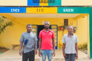 Bauchi: Police arrest 3 in connection with removing boy’s eyes for suspected ritual