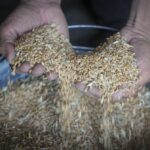 How did Russia-Ukraine war trigger a food crisis?