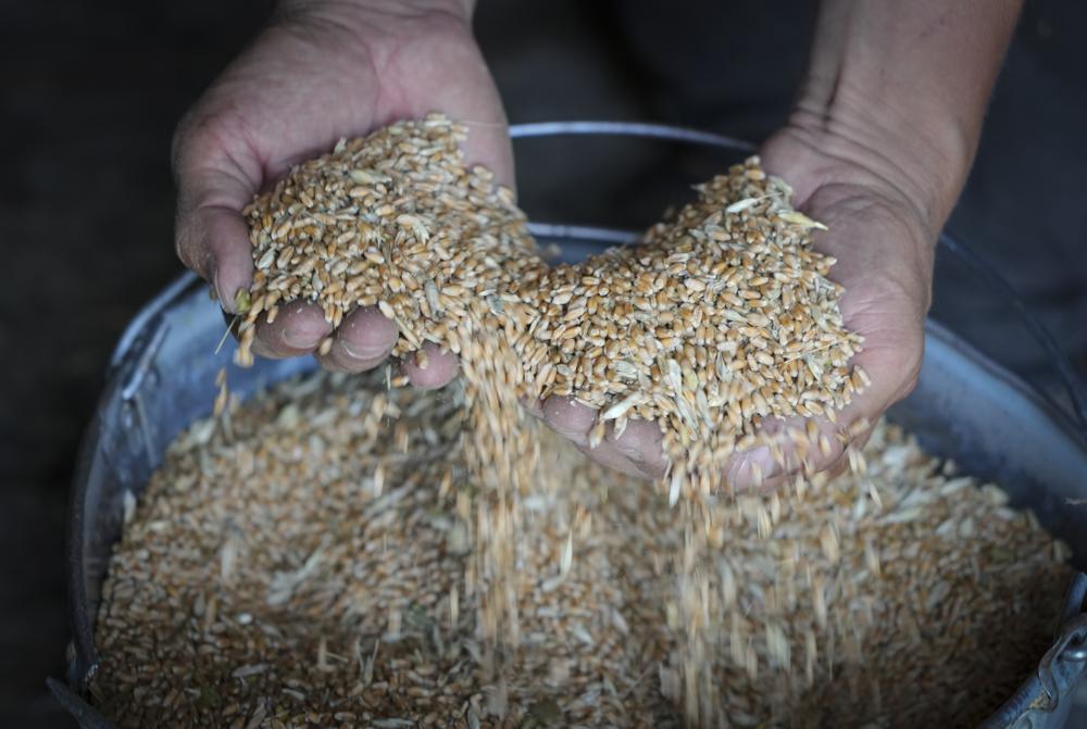 How did Russia-Ukraine war trigger a food crisis?