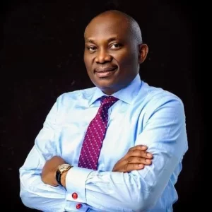 Hon. Ndudi Elumelu