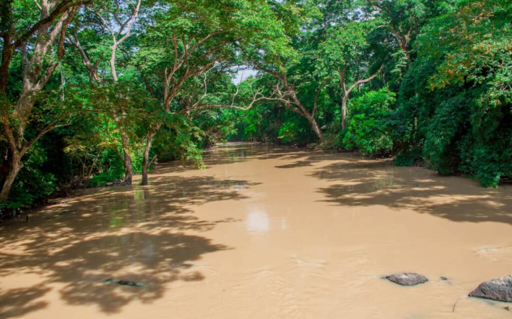 Groups beam searchlight on mining activities in Osun, sorrowful tales unveiled