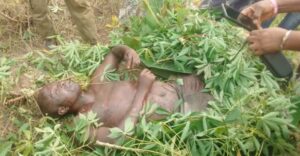 Panic in Bayelsa community over murder of paramount ruler, CDC chairman