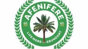 State police now, we don’t want IDPs in Southern Nigeria, Afenifere tells FG