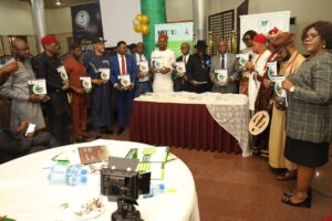NEITI, firms drive conversation on energy transition, others