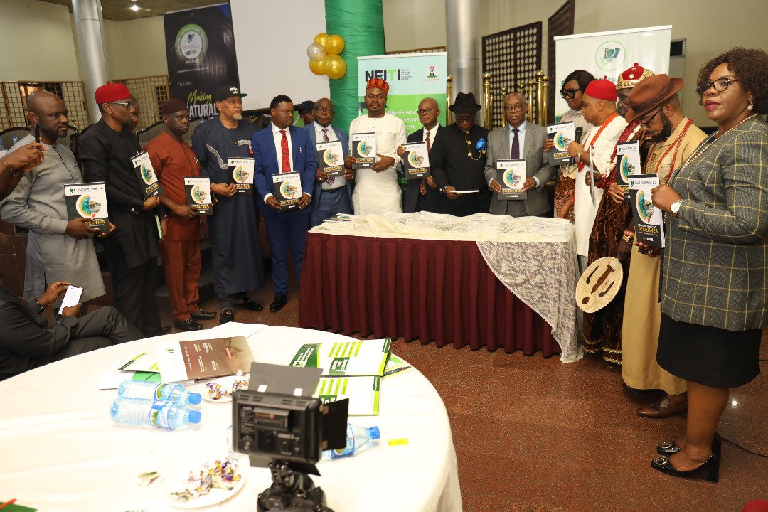 NEITI, firms drive conversation on energy transition, others
