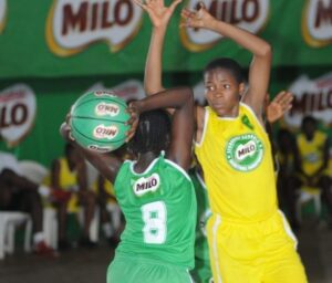 Milo-Basketball-1
