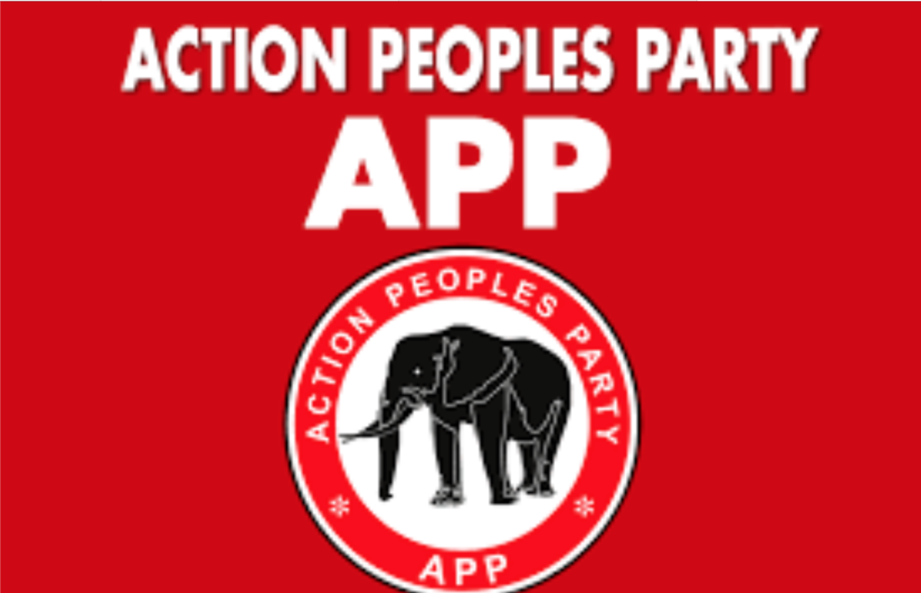Female candidate picks APP governorship ticket in Delta