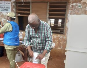 Why diaspora voting is not working – Senator Adetunmbi
