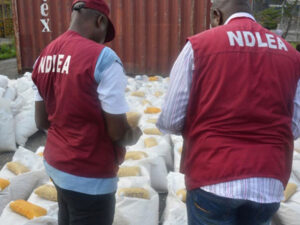 NDLEA seizes N6 billion worth of hard drugs in Apapa – Commander