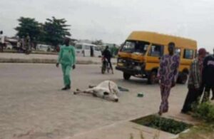 Lagos: 1 killed, many injured as cow herders clash with commercial bus drivers