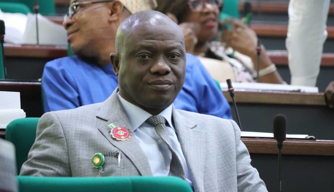 House of Representatives, Bamidele Salam