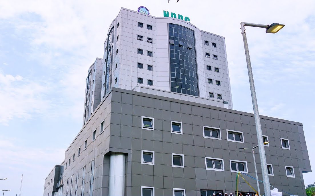 NDDC: Group writes Buhari, insists on substantive board