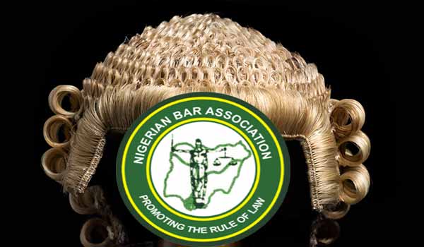 nba-Lawyer-wig
