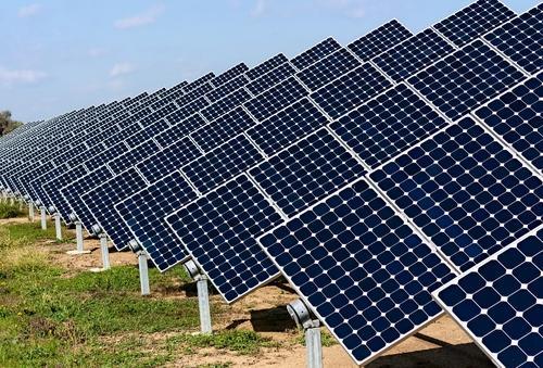 solar-plant-500×500