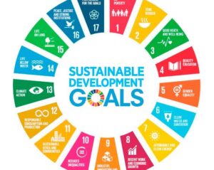 sustainable-development-objective