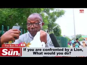 VOX POP: If you are confronted by a lion, what would you do? (VIDEO)