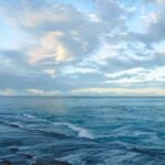 world-ocean-day-1280×720-1-768×432