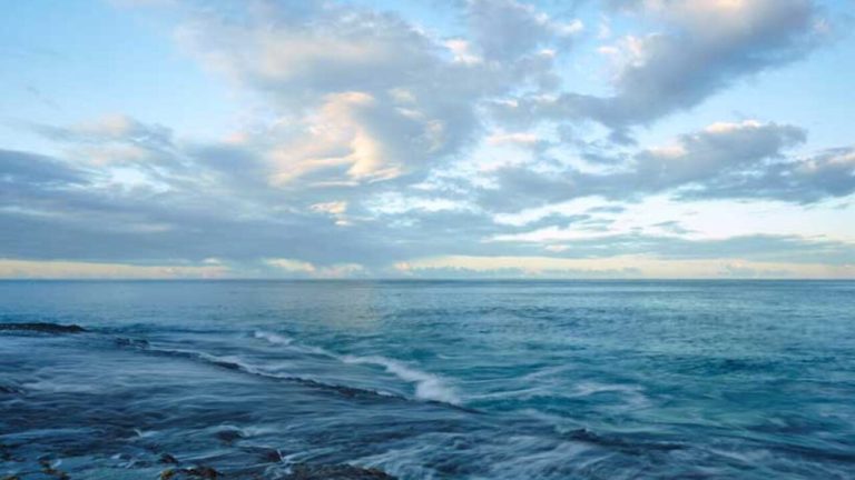 world-ocean-day-1280×720-1-768×432