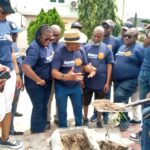 Rotary embarks on tree planting in Lagos