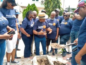 Rotary embarks on tree planting in Lagos