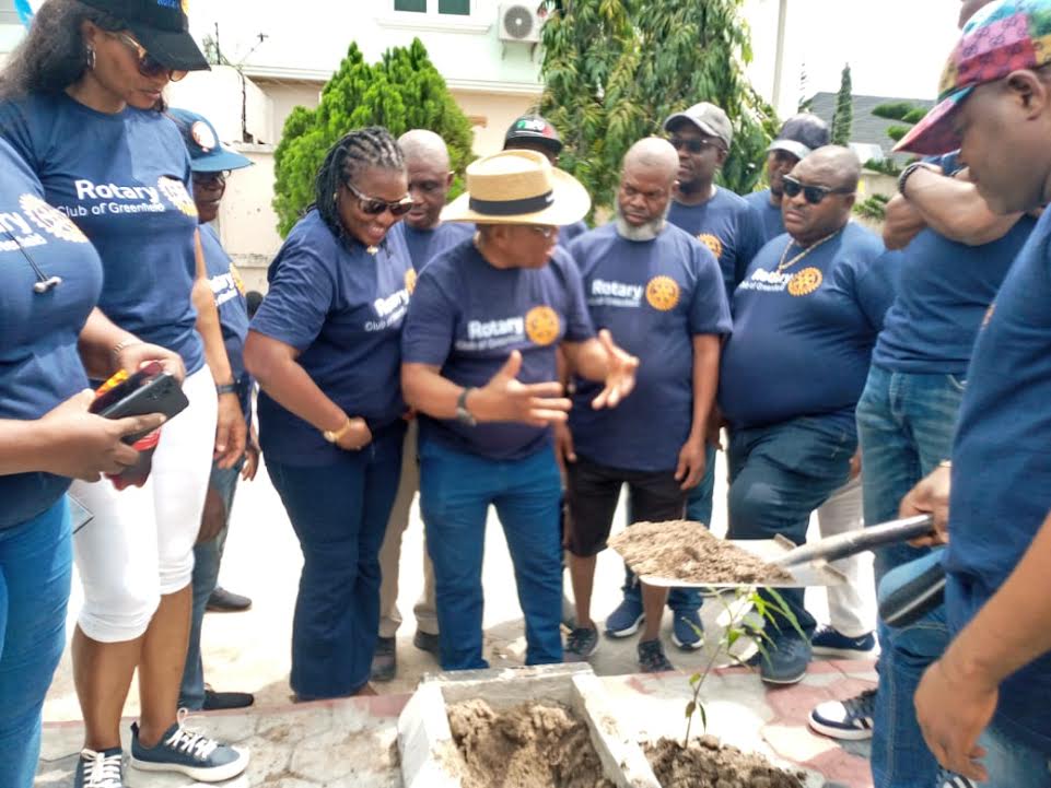 Rotary embarks on tree planting in Lagos