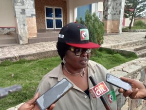 Labour Party (LP) Deputy National Chairman Ladi Iliya