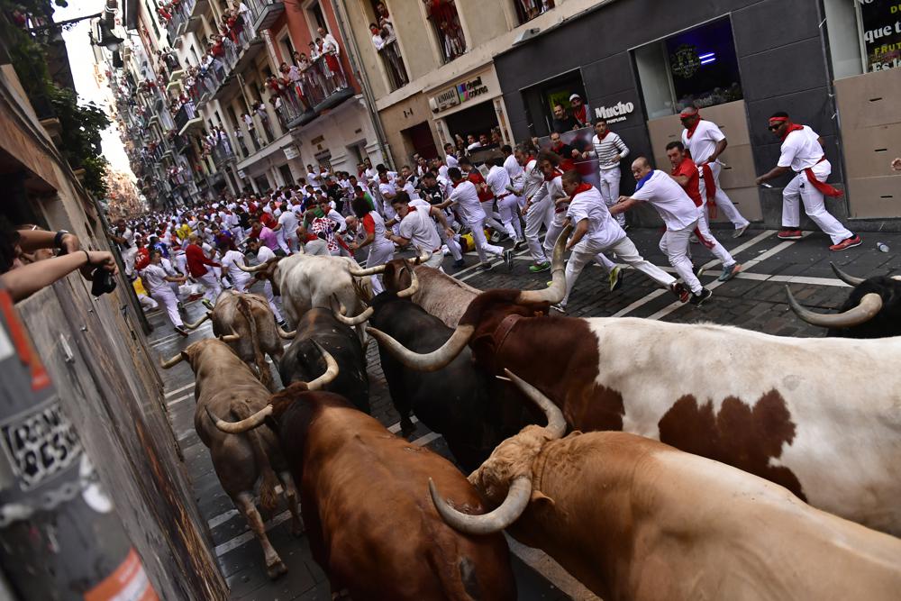 People run through the streets with fighting bulls and steers during the first day of the running of the bulls at the San Fermin Festival in Pamplona, northern Spain, Thursday, July 7, 2022. Revelers from around the world flock to Pamplona every year for nine days of uninterrupted partying in Pamplona’s famed running of the bulls festival which was suspended for the past two years because of the coronavirus pandemic. (AP Photo/Alvaro Barrientos)
