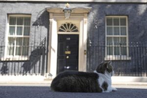 Larry the Cat, Britain’s Chief Mouser to the Cabinet Office rests in front of 10 Downing Street in London, Friday, July 8, 2022. Britain’s Prime Minister Boris Johnson announced that less than three years after becoming prime minister, he was resigning and would remain in office only until a successor emerged.(AP Photo/Frank Augstein)