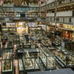 The objects are currently held in the collections of Oxford’s Pitt Rivers (pictured) and Ashmolean museums