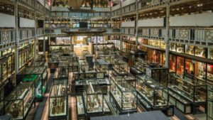 The objects are currently held in the collections of Oxford’s Pitt Rivers (pictured) and Ashmolean museums