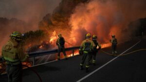 Firefighters across Europe have faced scorching temperatures amid a surge in wildfires