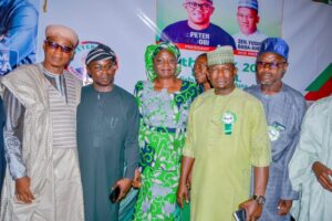 Why Northern Summit on Obi/Ahmed witnessed low turnout – Kaduna LP Chair