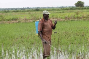 ADP calls for employment of extension agents to boost food security