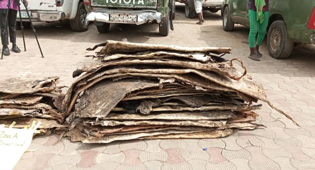 customs-lagos-donkey-skin