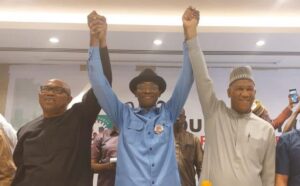 Road to 2023: Group rallies for Obi; calls for massive support for LP National Assembly candidates