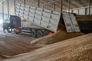 An employee unloads wheat grains inside a storage, as Russia’s attack on Ukraine continues, Zaporizhzhia region, Ukraine July 29, 2022. REUTERS/Dmytro Smolienko