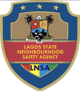 LNSA