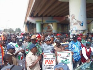 NLC ground Plateau in solidarity protest with academic workers’ strike