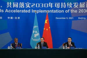 China urges developing nations to play leading roles in GDI