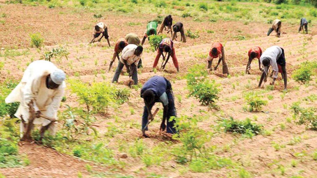 Farmers