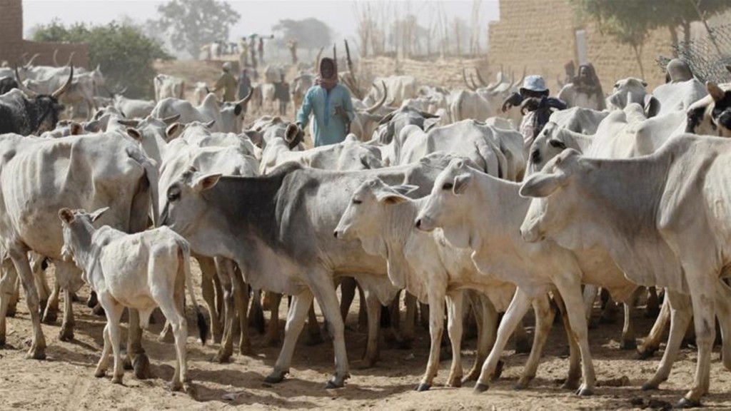 Herders-1024×576