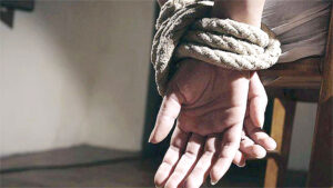 Kidnappers