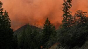 US: Wildfire rages near Yosemite National Park