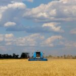 A combine harvests wheat during Ukraine-Russia conflict in the Russia-controlled village of Muzykivka in the Kherson region, Ukraine July 26, 2022. REUTERS/Alexander Ermochenko