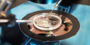 Reproductive-Technology-Petri-Dish-600×300