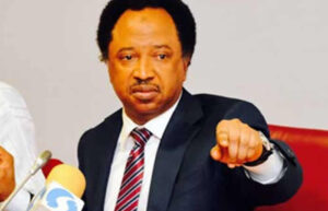 Shehu-Sani